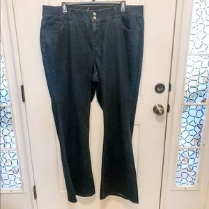 NWT Lane Bryant Flare Jeans